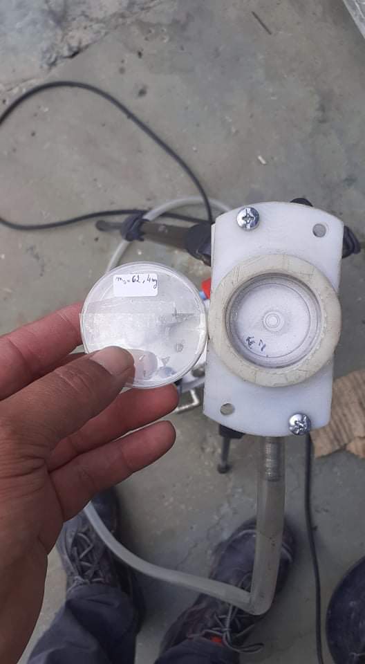 Culture de bactéries en boîte de Petri