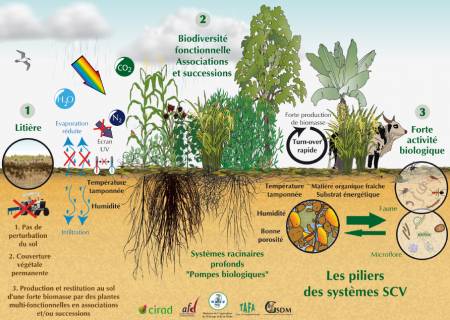 Concept de remédiation des sols